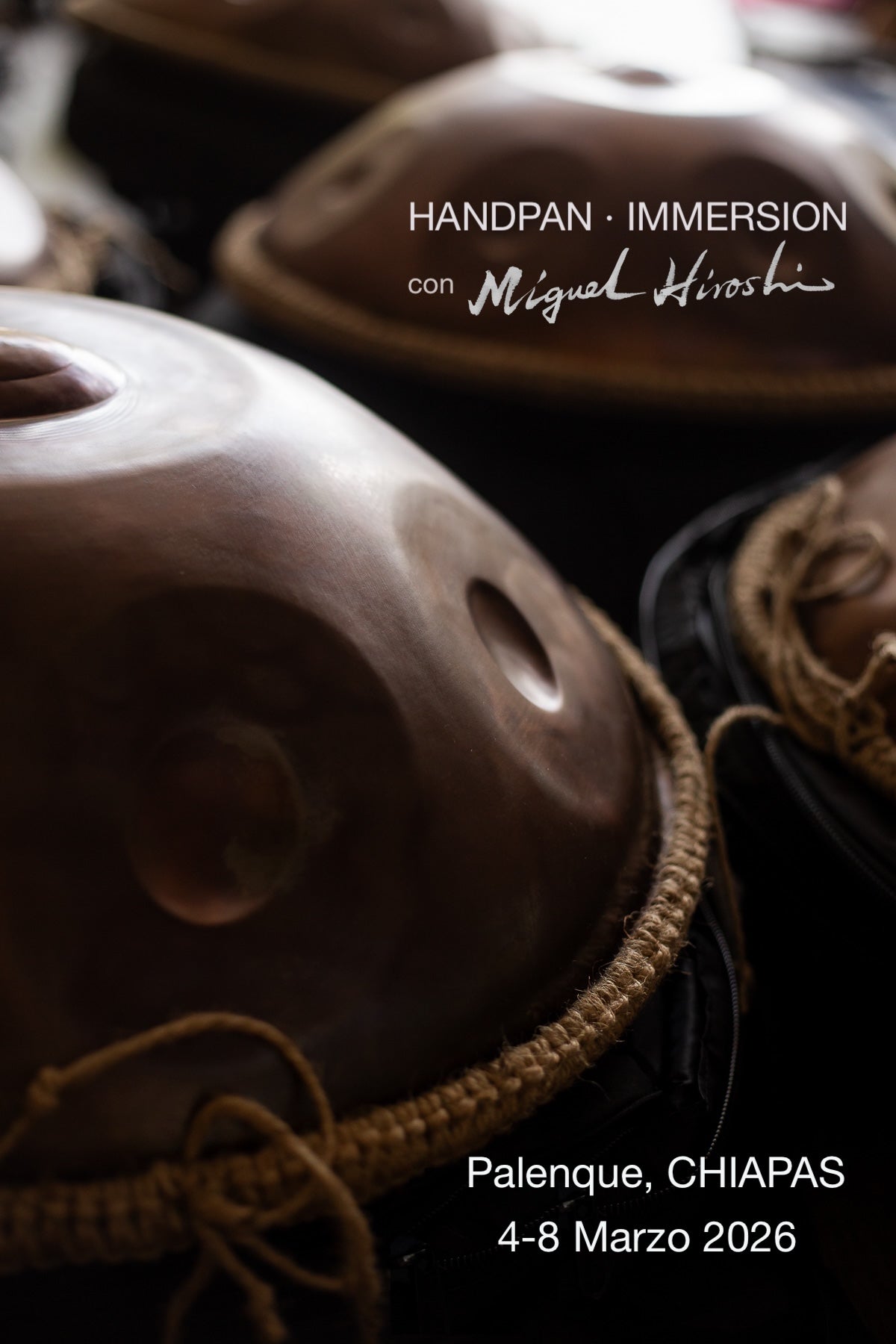 Handpan Immersion - PALENQUE - pago a 3 meses